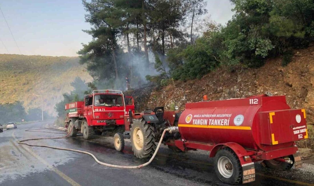 Muğla’nın Menteşe ilçesine bağlı Çiftlik ve Kafaca mahalleleri arasında meydana