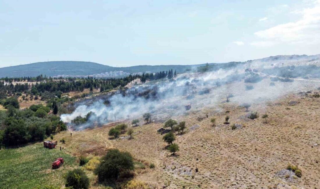Menteşe Orhaniye Mahallesi’nde bulunan Hamursuz Tepesi’nde meydana gelen orman yangını,