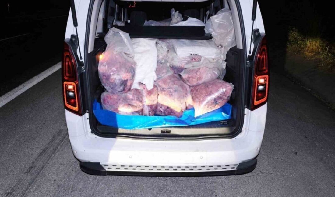Mersin’de jandarma ekipleri tarafından yapılan yol kontrolünde, irsaliyesiz olduğu, veteriner