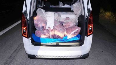 Mersin’de jandarma ekipleri tarafından yapılan yol kontrolünde, irsaliyesiz olduğu, veteriner
