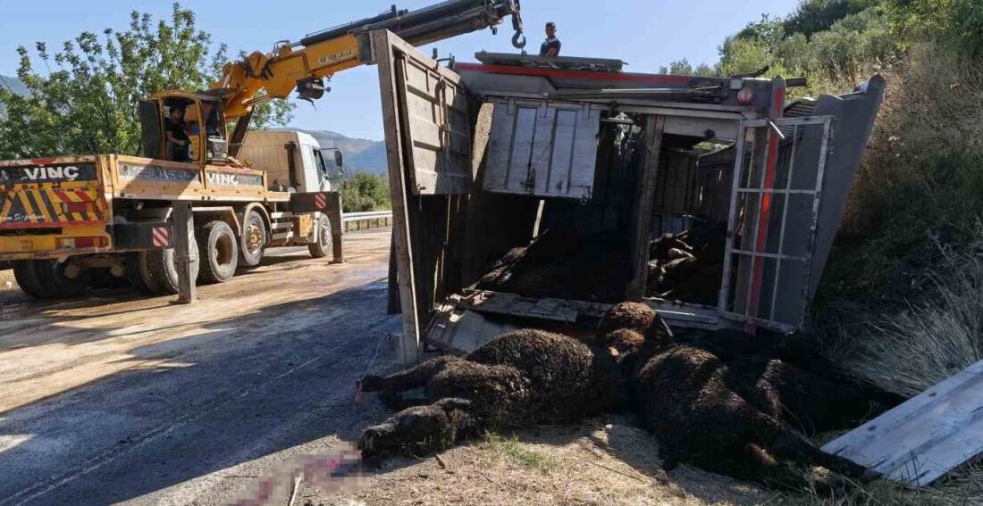 Mersin’in Silifke ilçesinde meydana gelen bir kaza sonucunda tır devrildi