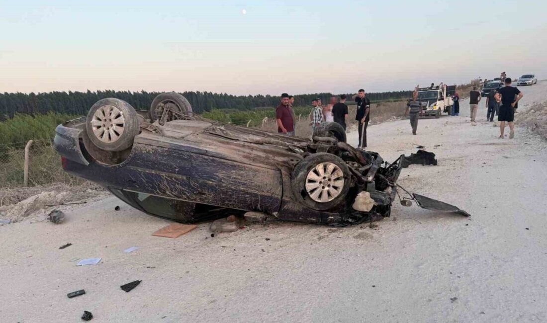 Mersin’in Tarsus ilçesinde, trafiğe kapatılmış stabilize bir yolda meydana gelen