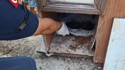 Mersin’in Anamur, Bozyazı ve Aydıncık ilçelerinde Anamur Cumhuriyet Başsavcılığı koordinesinde