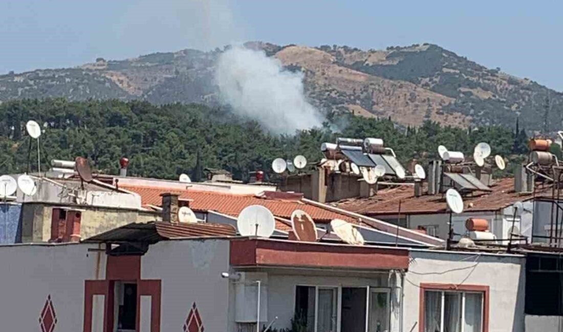 Aydın’ın Efeler ilçesindeki mesire alanında meydana gelen yangına Aydın Büyükşehir