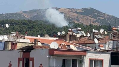 Aydın’ın Efeler ilçesindeki mesire alanında meydana gelen yangına Aydın Büyükşehir