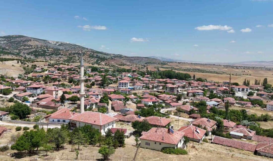 Kabalı Meyvecilik Projesi, 2009 yılında Yozgat’ın Kadışehri ilçesine bağlı Kabalı