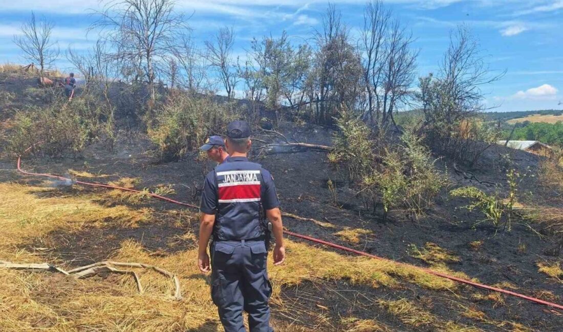 Bilecik’te, Kurtköy köyü mezarlık altında çıkan yangın, itfaiye ekiplerinin müdahalesiyle