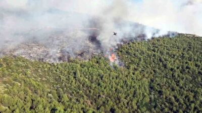Muğla’nın Milas ilçesinde, Gürçamlar Mahallesi’nde bulunan Kazıklı-Bozbük mevkisinde ormanlık alanda