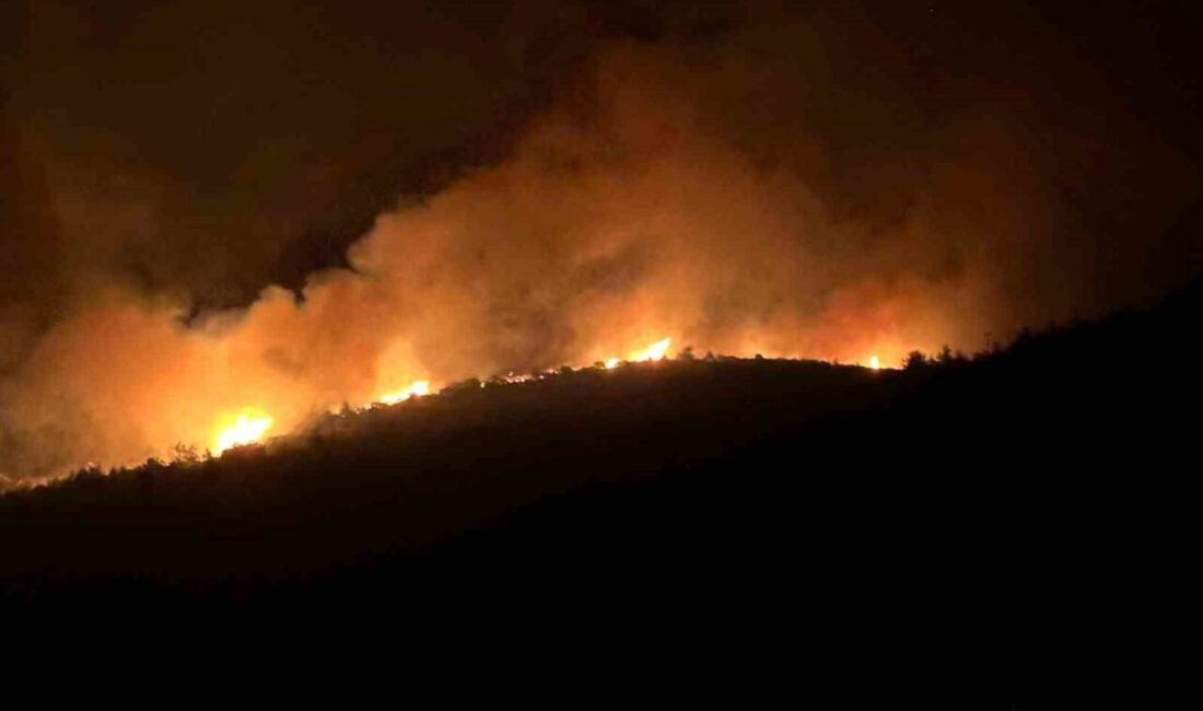 Muğla’nın Milas ilçesinde, Gürçamlar Mahallesi’nde, Kazıklı-Bozbük mevkiinde meydana gelen ormanlık