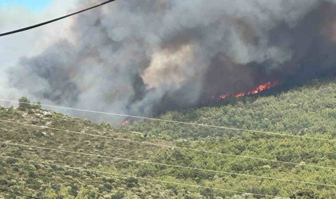 Muğla’nın Milas ilçesinde bulunan ormanlık alanda çıkan yangına ekiplerin hem