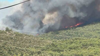 Muğla’nın Milas ilçesinde bulunan ormanlık alanda çıkan yangına ekiplerin hem