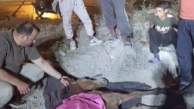 Düziçi ilçesinde yaşanan bir kaza sonucunda, yolcu minibüsü bir ata