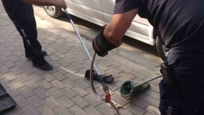 Bir yılanın park halindeki bir minibüsün motor bölümüne girmesi, Bursa’nın