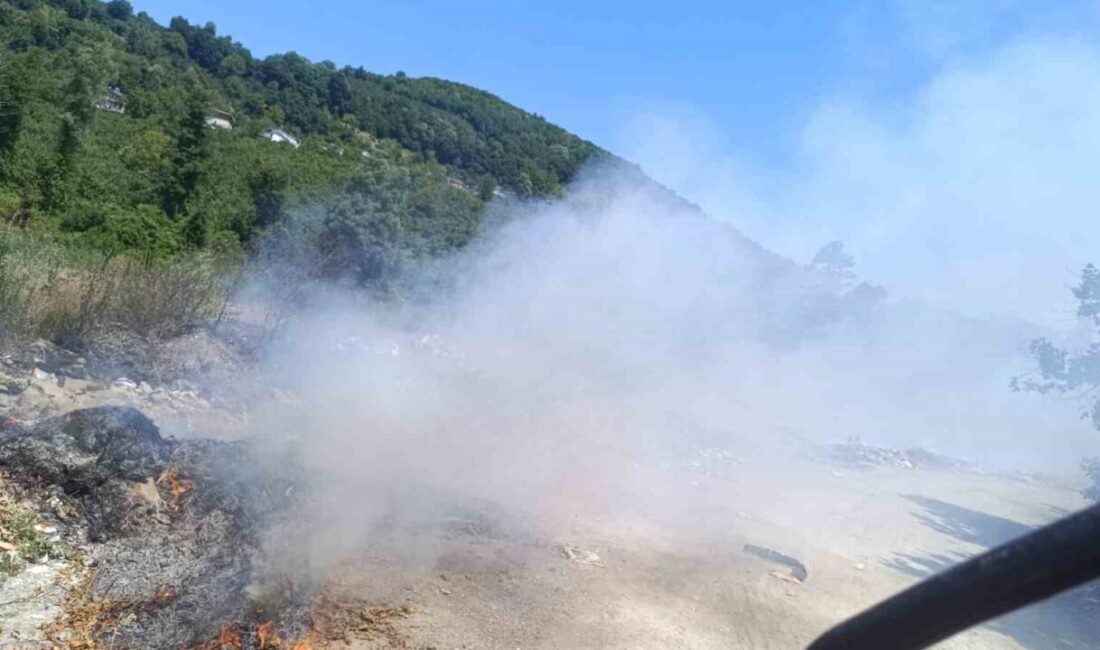 Alaplı ilçesinde, Mollabey yolu üzerinde vatandaşların atıklarını bıraktığı alanda çıkan