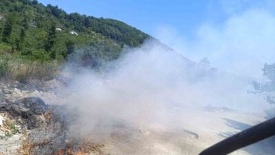 Alaplı ilçesinde, Mollabey yolu üzerinde vatandaşların atıklarını bıraktığı alanda çıkan