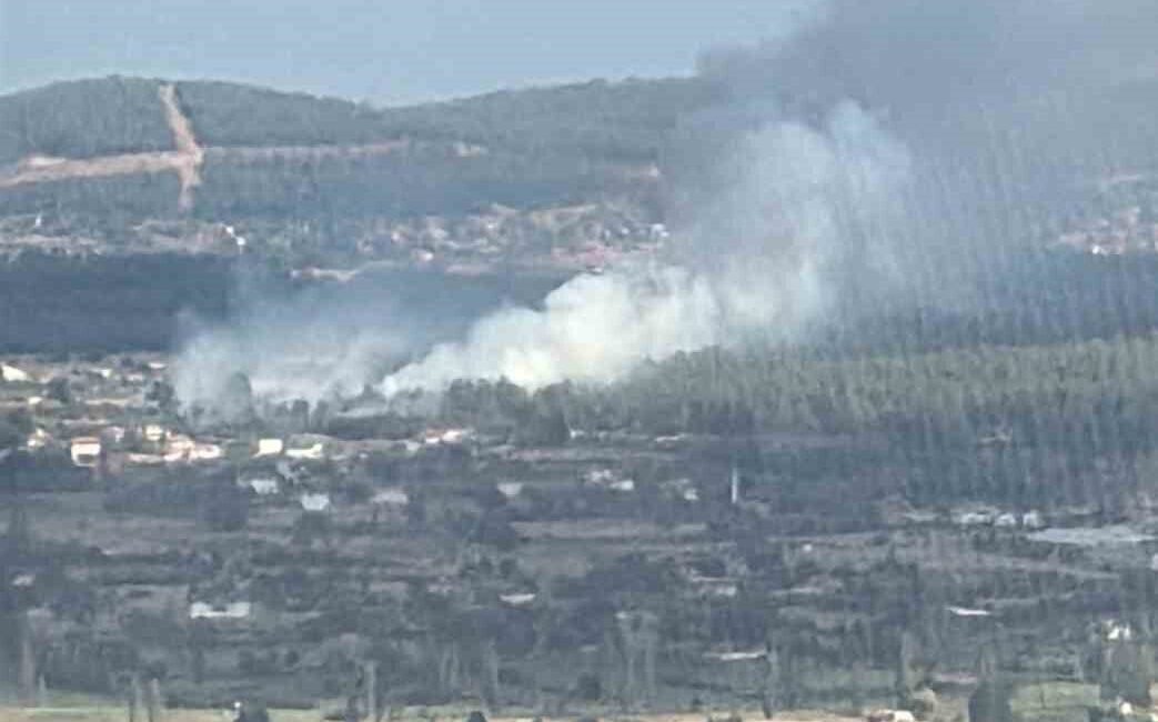 Muğla’nın Menteşe ilçesine bağlı Yenice Mahallesi’nde orman yangını meydana geldi.