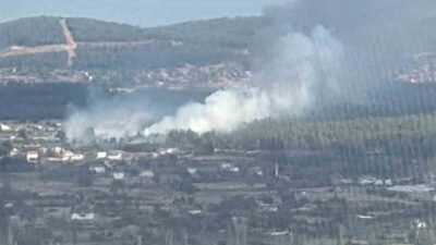 Muğla’nın Menteşe ilçesine bağlı Yenice Mahallesi’nde orman yangını meydana geldi.