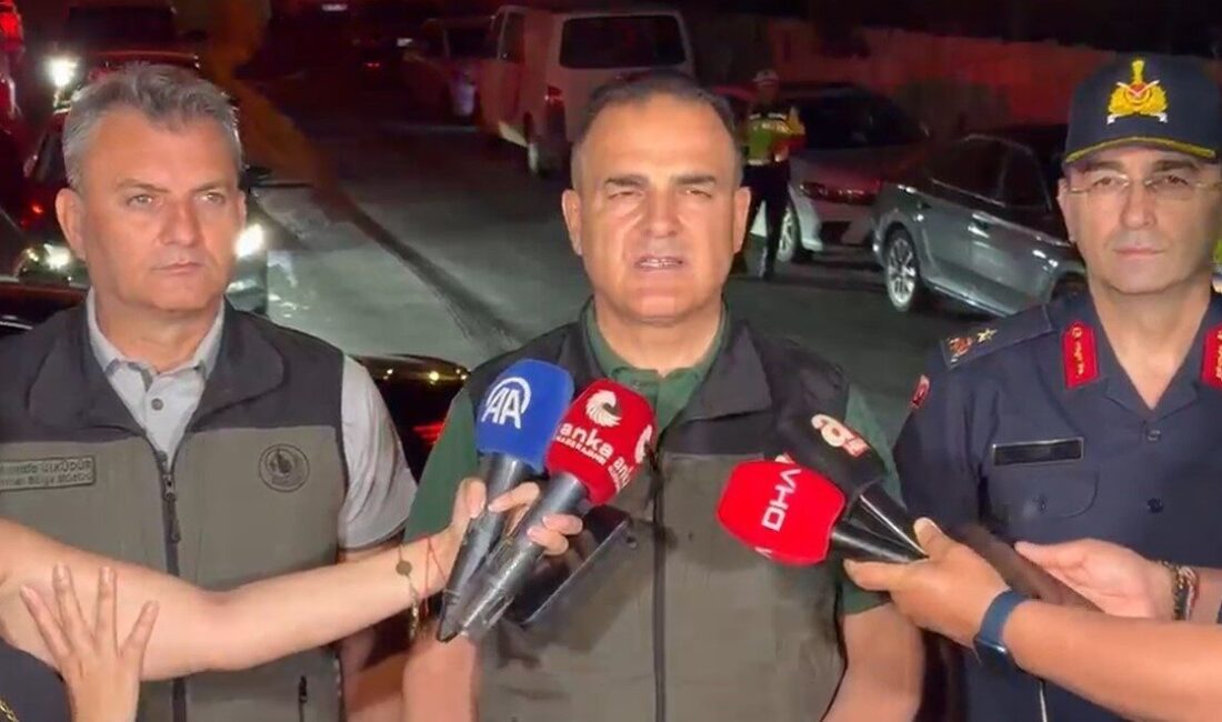 Muğla’nın Milas ilçesindeki ormanlık alanda çıkan yangına gece saatlerinde müdahale