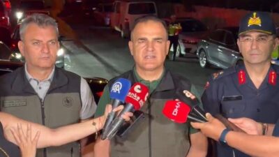 Muğla’nın Milas ilçesindeki ormanlık alanda çıkan yangına gece saatlerinde müdahale