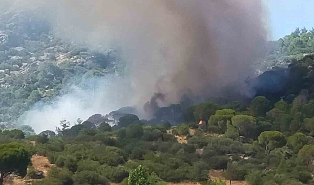 Muğla’nın Kavaklıdere ilçesinde bugün saat 16.00 sularında Kurucova Mahallesi’ndeki ormanlık
