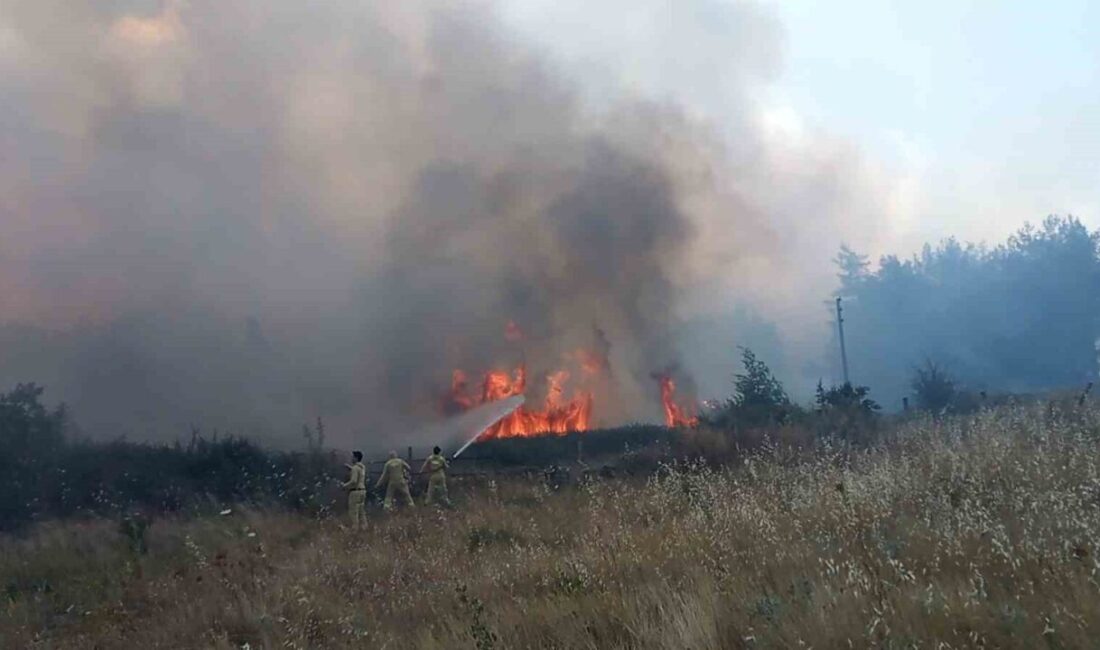 Muğla’nın Menteşe ilçesindeki tarım arazisinde başlayıp ormanlık alana yayılan yangının,