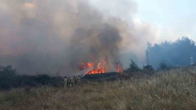 Muğla’nın Menteşe ilçesindeki tarım arazisinde başlayıp ormanlık alana yayılan yangının,