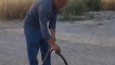Malatyalı çiftlik muhtarı Ali Berktaş, evlere giren yaklaşık 2 metre