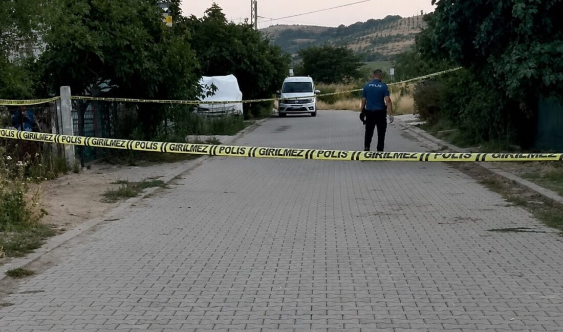 Muratlı ilçesinde meydana gelen acı bir olayda, bir kargo aracının