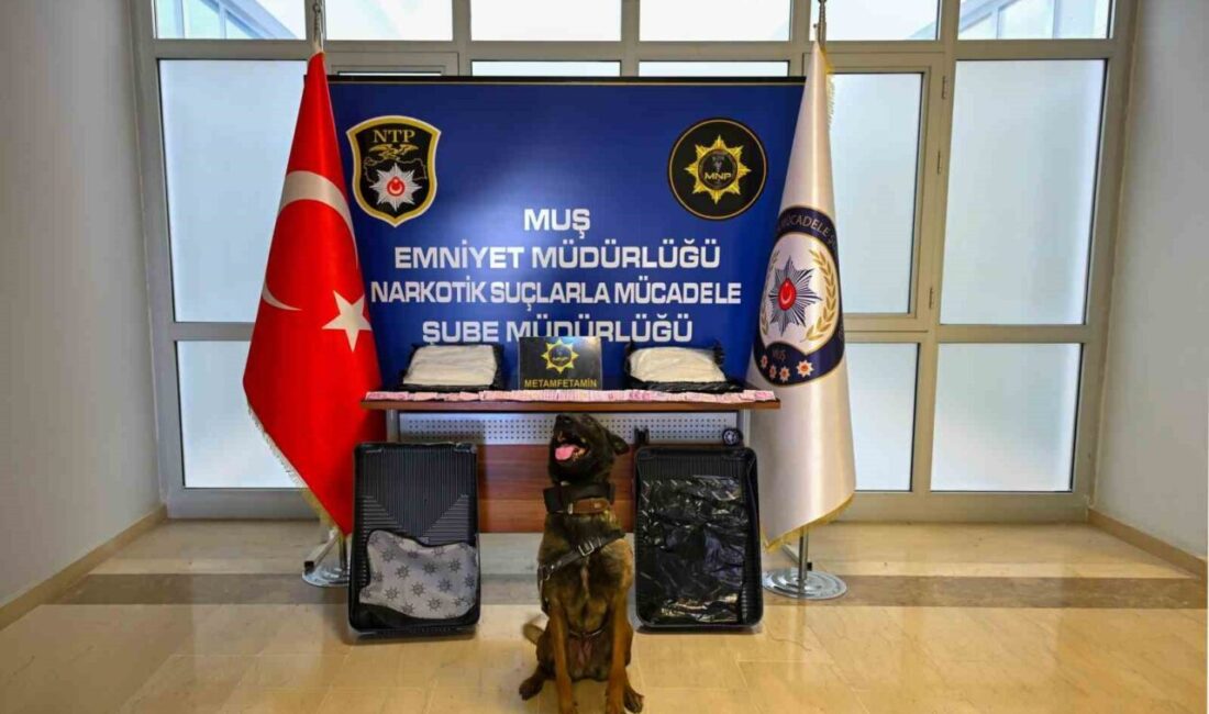 Muş’ta polis ekipleri tarafından düzenlenen operasyonda, valiz içerisine saklanmış 3