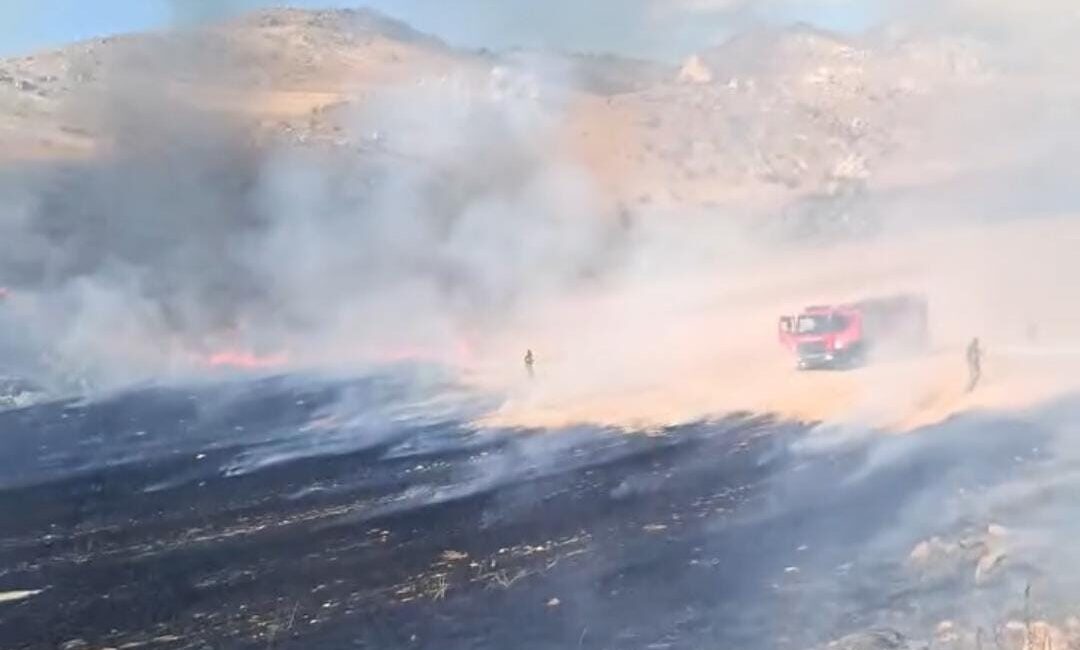 Nallıhan ilçesine bağlı Çayırhan Mahallesi’nde, otluk alanda çıkan yangın, itfaiye
