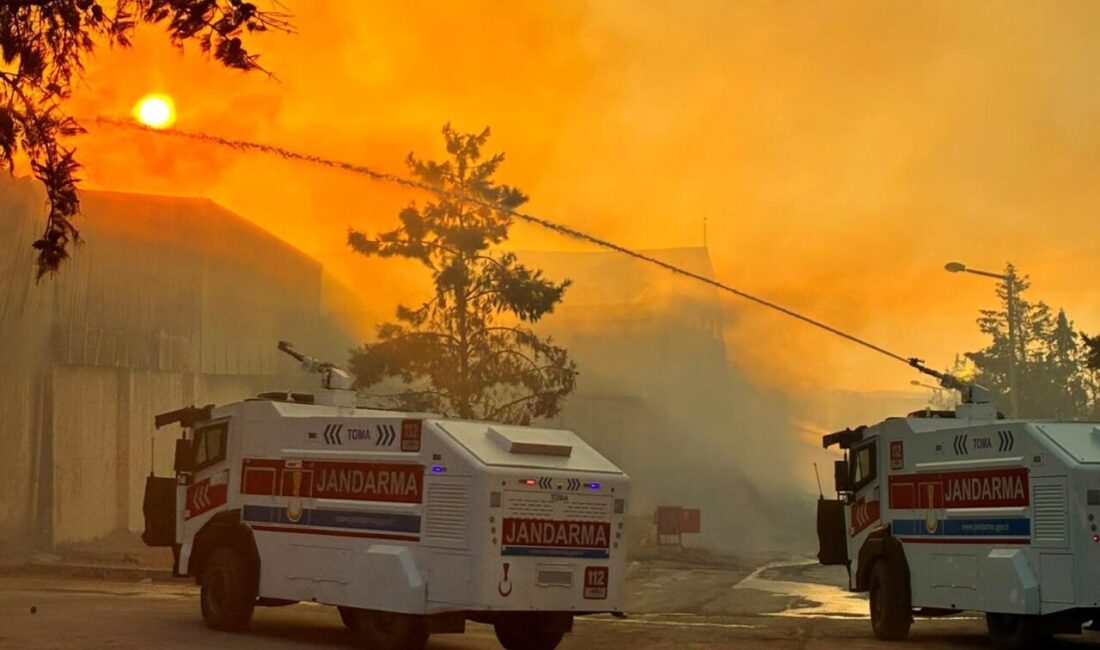 Şanlıurfa’da Namet Entegre Besi Et Tesisi’nin yem deposunda çıkan yangına