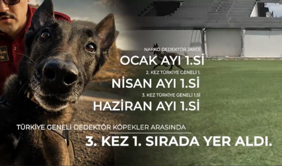 Osmaniye’de uyuşturucuyla mücadele kapsamında hizmet veren narkotik dedektör köpeği Jardi,
