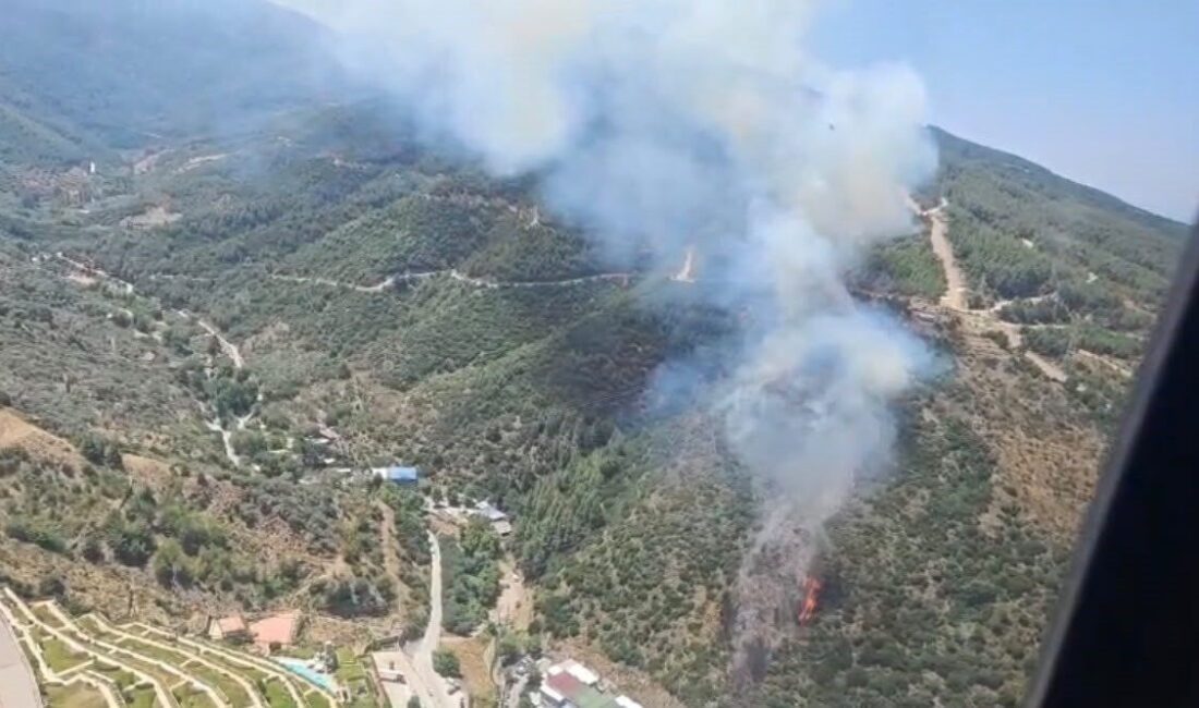 İzmir’in Narlıdere ilçesinde başlayan orman yangınına hem havadan hem de