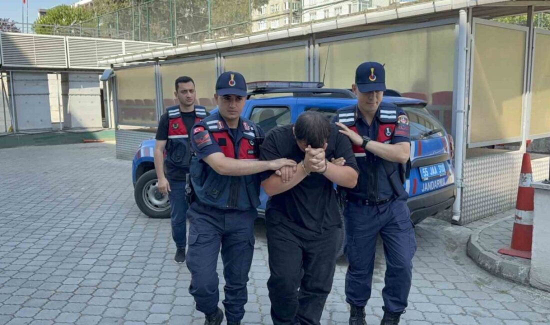 Samsun’un Canik ilçesinde jandarma ekipleri tarafından gerçekleştirilen bir operasyonda, odunluğa