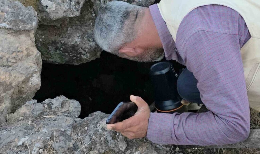 Hatay’da yaşanan olayda 46 yaşındaki Naciye Kıran, oğlaklarını otlatmak için