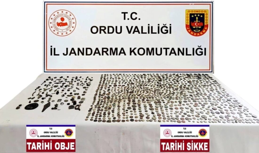 Ordu ilinde jandarma ekipleri tarafından gerçekleştirilen operasyonda çok sayıda sikke