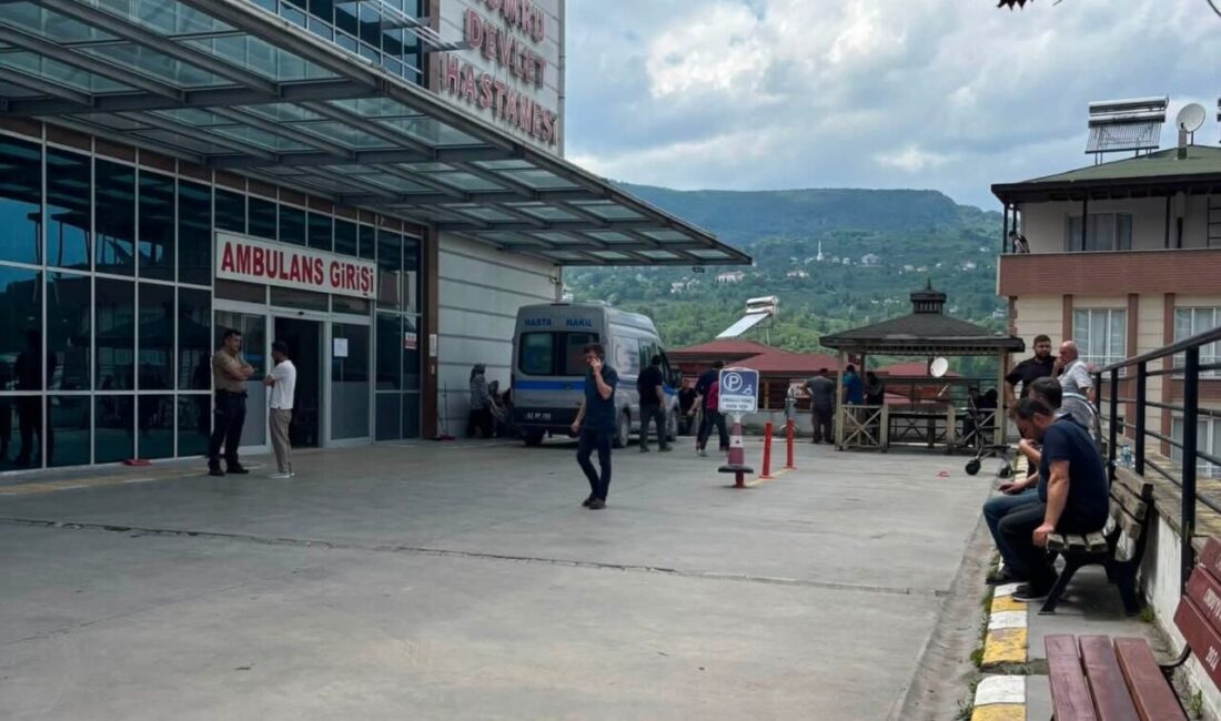 Kumru ilçesinde bir kadının fındık bahçesinde çarklı tırpanla ot biçme