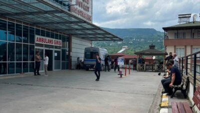 Kumru ilçesinde bir kadının fındık bahçesinde çarklı tırpanla ot biçme