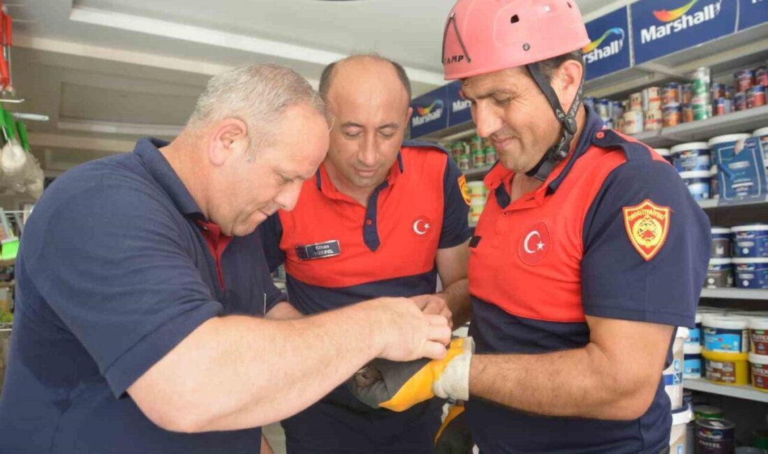 Ünye ilçesinde bir binanın çatı saçağına sıkışan ebabil kuşu, itfaiye
