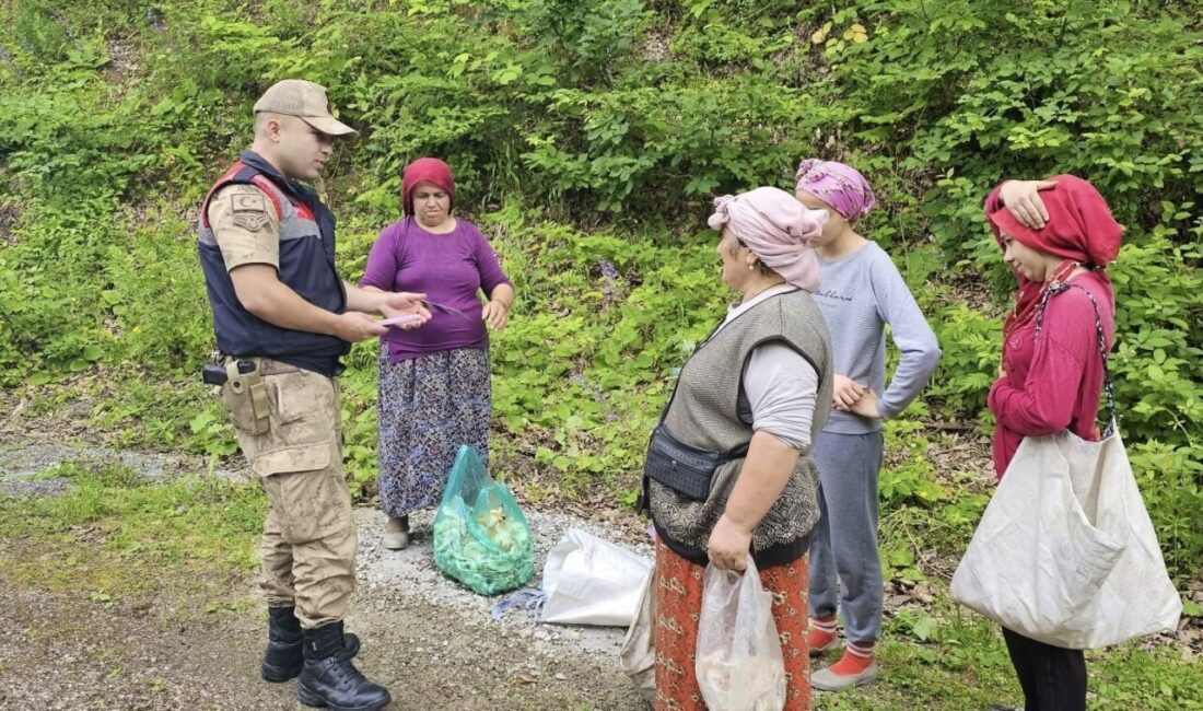 Ordu’nun Kabataş ilçesinde jandarma ekipleri, kadına yönelik şiddete karşı bilgilendirme
