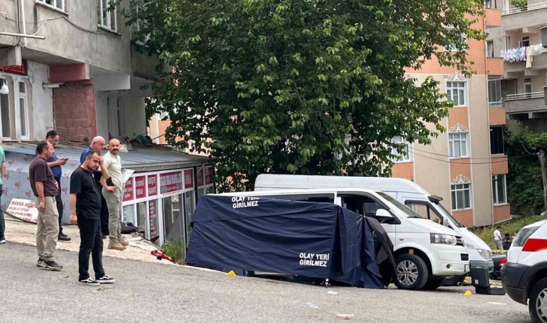 Ordu’nun Fatsa ilçesinde bir kişi, arazi anlaşmazlığı nedeniyle düşmanlık beslediği