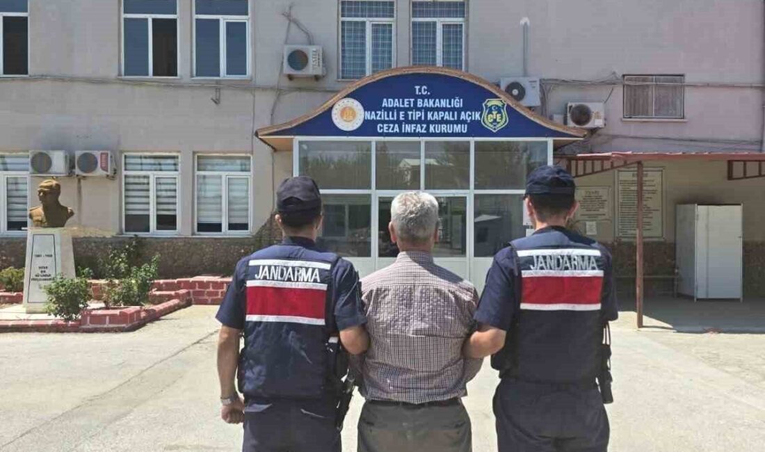 Nazilli ilçesinde Orman Alanlarını İşgal Etme, Ormandan Faydalanma ve Orman