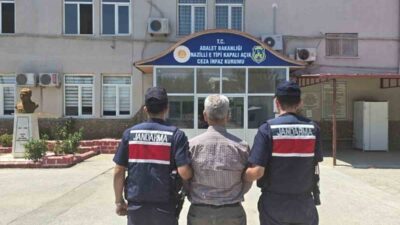 Nazilli ilçesinde Orman Alanlarını İşgal Etme, Ormandan Faydalanma ve Orman