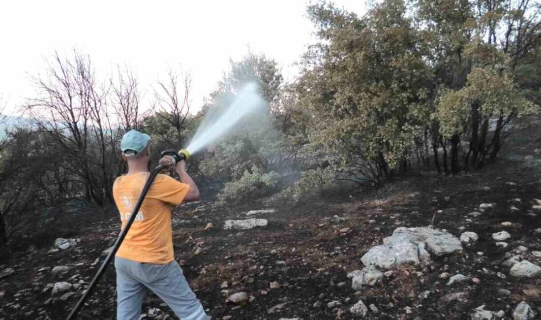 Besni ilçesinde meydana gelen orman yangını, ekiplerin ve vatandaşların yoğun