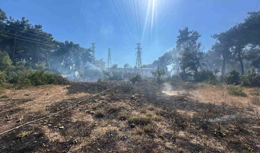 Manavgat ilçesinde, Sarılar Mahallesi’nde meydana gelen orman yangını, ekiplerin hızlı