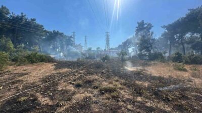 Manavgat ilçesinde, Sarılar Mahallesi’nde meydana gelen orman yangını, ekiplerin hızlı