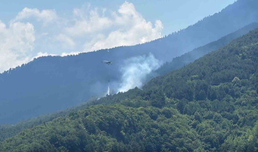 Karabük’te, Sipahiler köyü yakınlarındaki ormanlık alanda çıkan yangına hem havadan