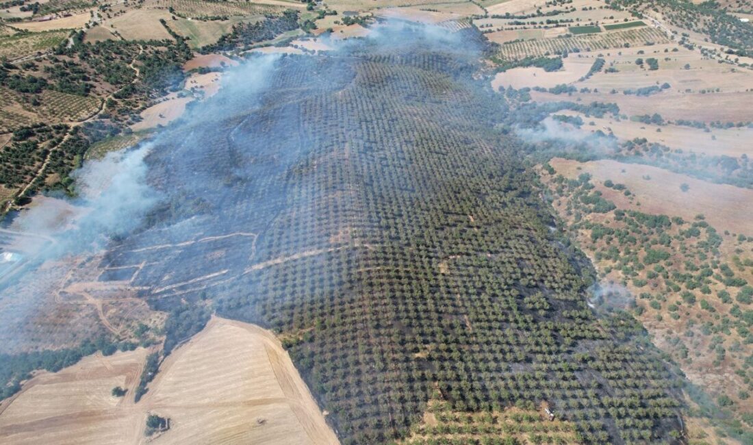Manisa’nın Kula ilçesindeki ormanlık alanda çıkan yangın, rüzgarın etkisiyle hızla