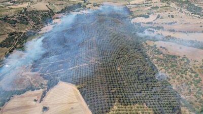 Manisa’nın Kula ilçesindeki ormanlık alanda çıkan yangın, rüzgarın etkisiyle hızla