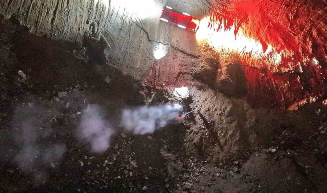Düzce’de Çakırlar Mahallesi’nde meydana gelen orman yangını, bir vatandaş tarafından